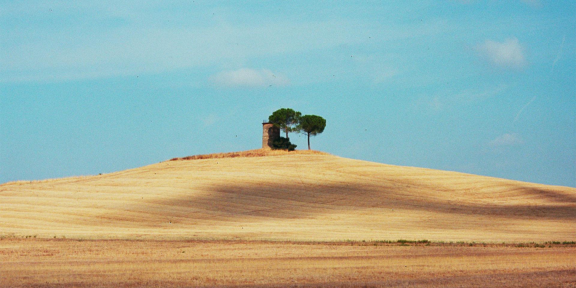 Foto Federica Cocciro