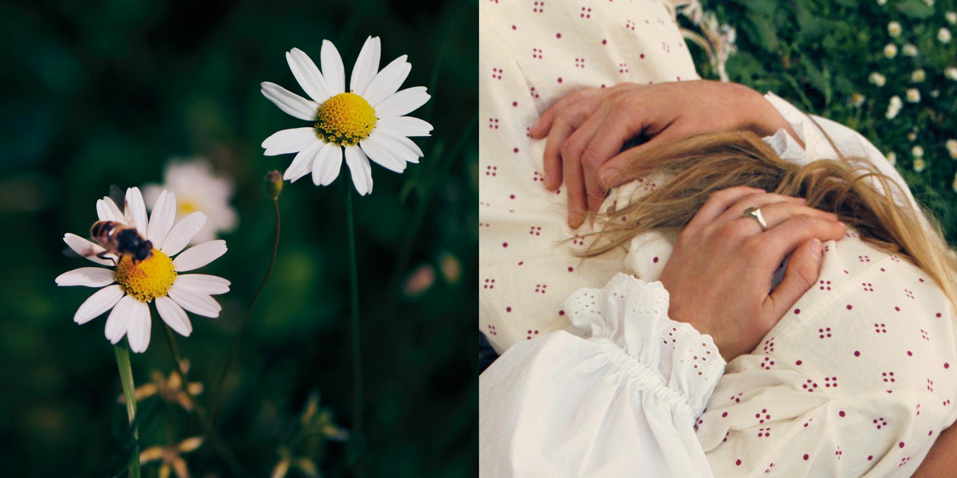 Le nozze di Figaro - Foto Gaia Bonanomi