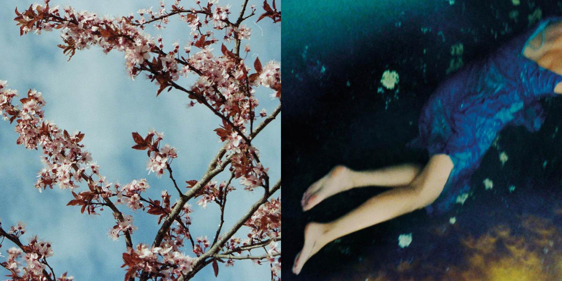 Giselle - Foto Gaia Bonanomi
