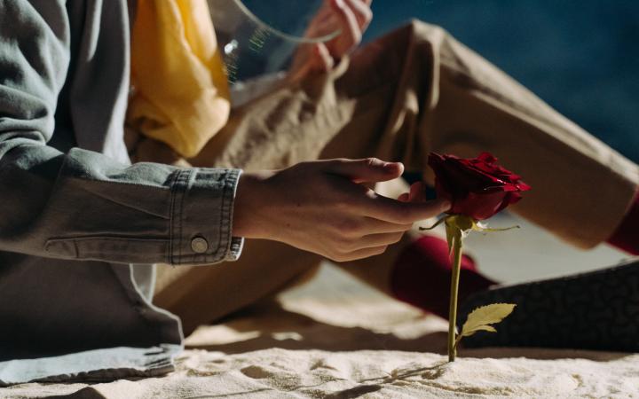 Immagine pexels cottonbro studio