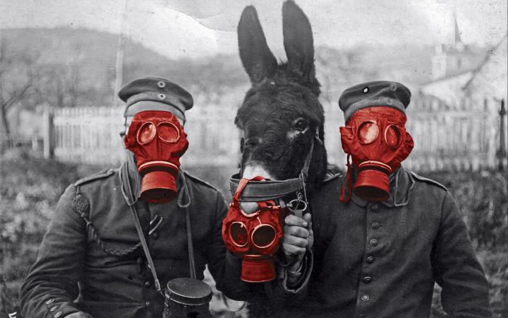 Immagine per Valzer a tempo di guerra