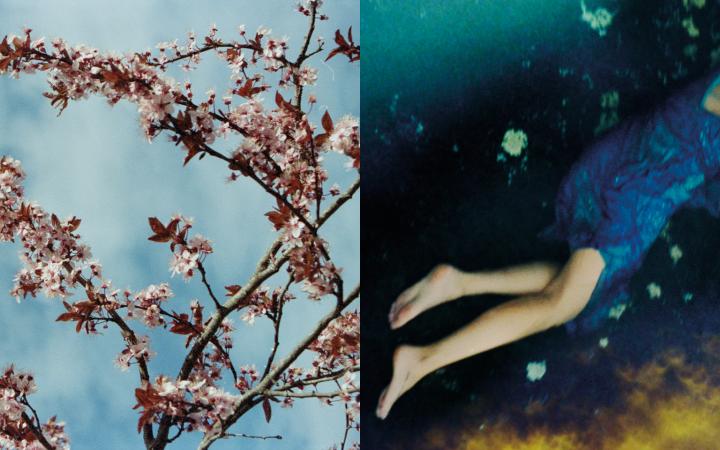 Foto Gaia Bonanomi